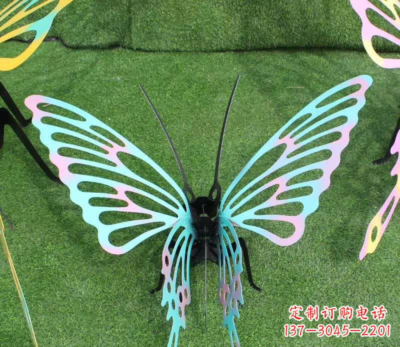 运城彩色不锈钢镂空蝴蝶雕塑