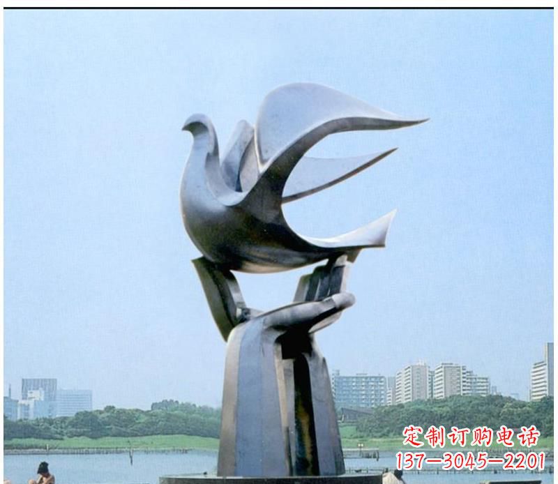 运城静谧之鸽,传递和平象征~