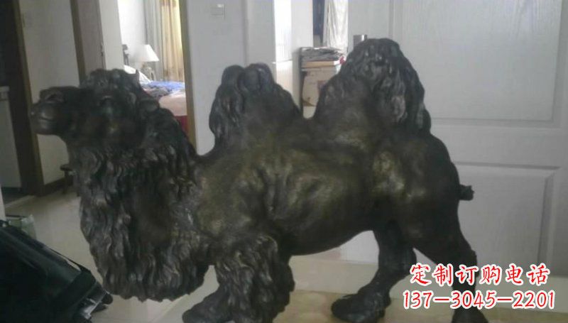 运城室外骆驼铜雕塑,为公园景观增添美感