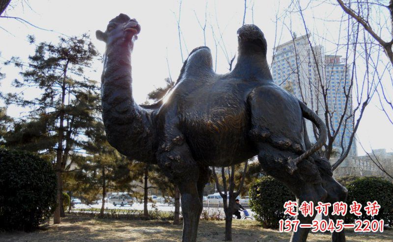 运城优美雕刻骆驼铜雕塑