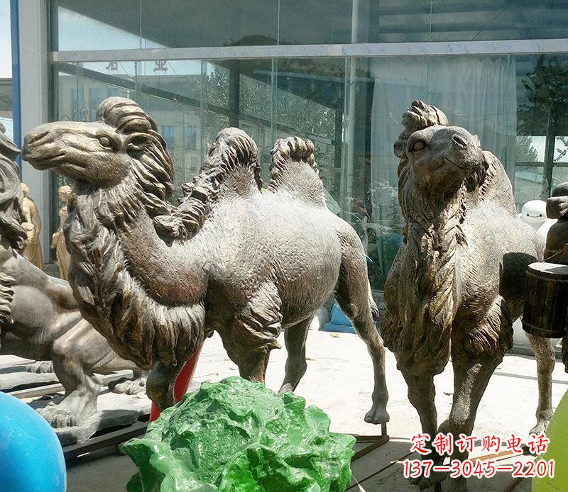运城公园骆驼动物铜雕 (2)