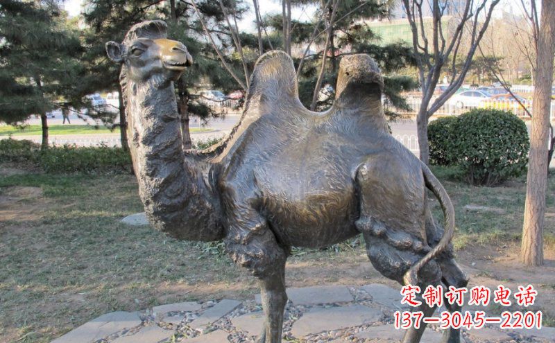 运城铜骆驼雕塑——浓缩自然美丽
