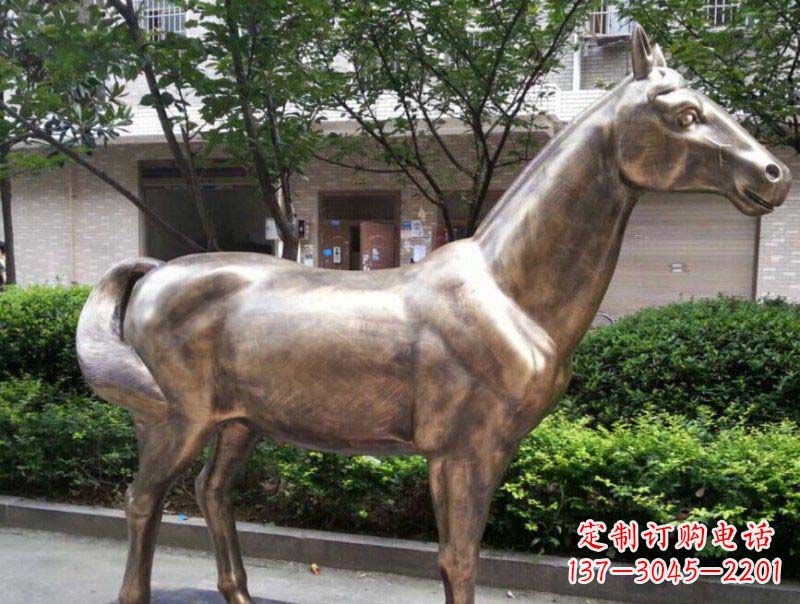 运城精美铜雕动物