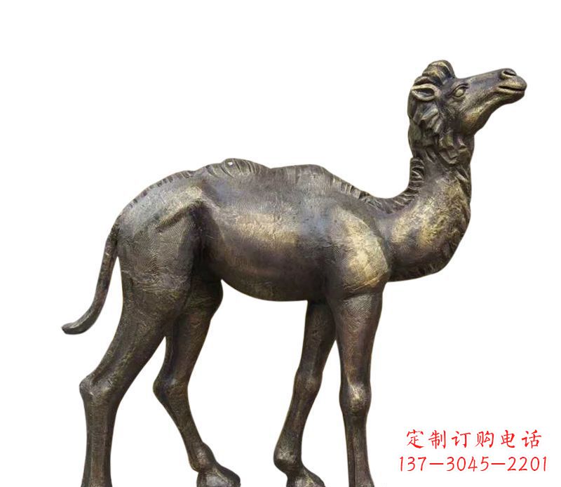 运城奇美洁净的骆驼铜雕