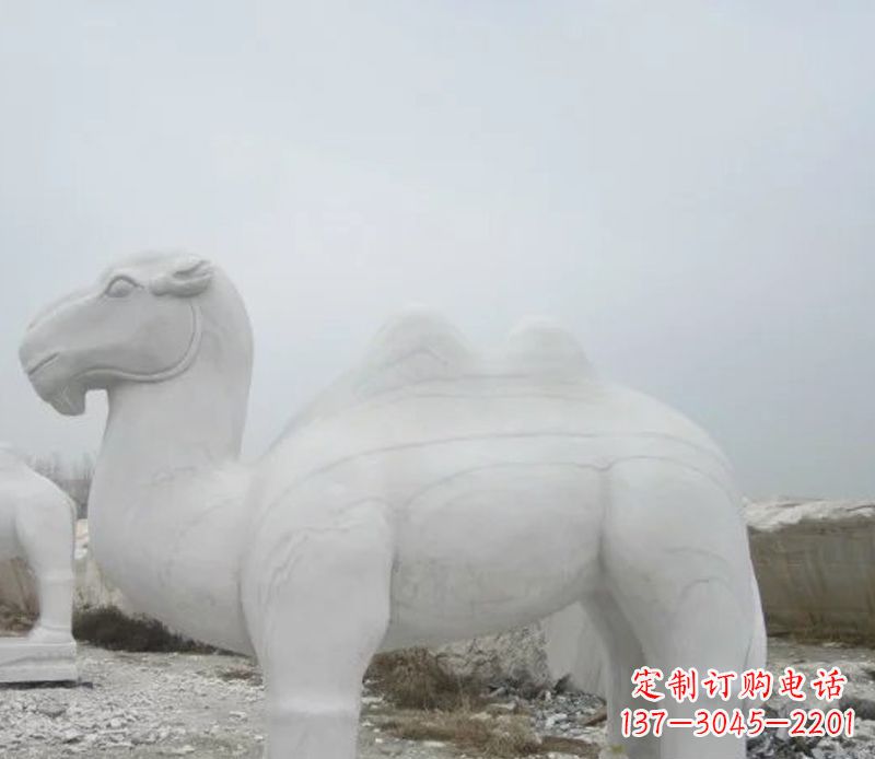 运城汉白玉骆驼石雕塑,装点家居空间