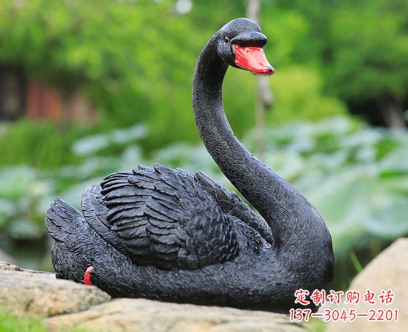 运城精致高端的黑色天鹅雕塑