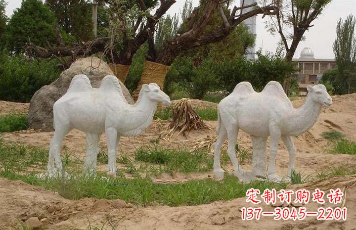 运城欣赏大自然,石雕骆驼公园动物雕塑邀请您