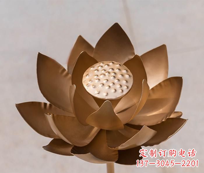 运城铜雕景观荷花