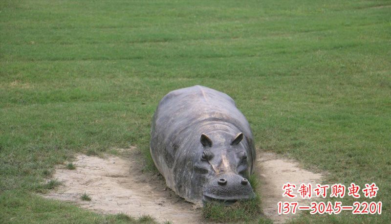 运城铜雕趴着的河马