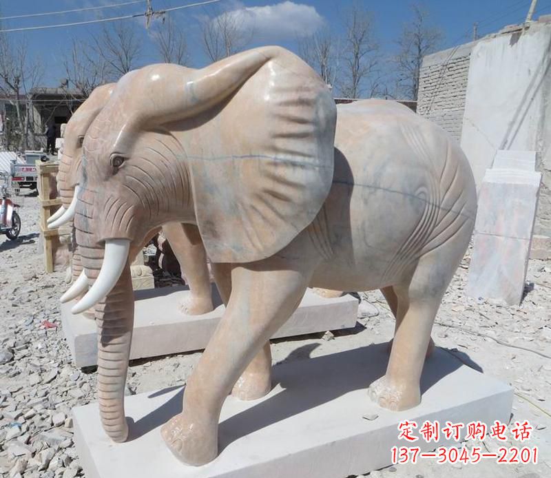 运城晚霞红卷鼻大象