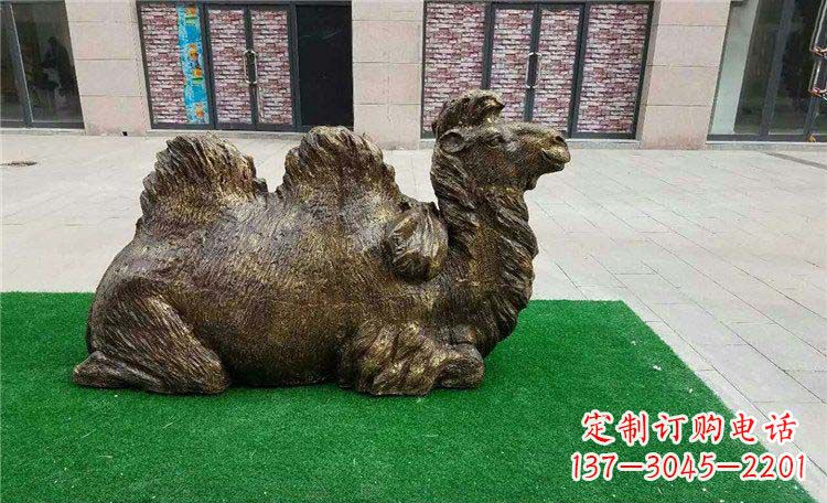 运城卧着的骆驼动物铜雕
