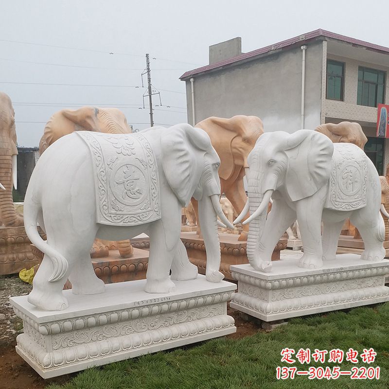 运城学校石雕大象